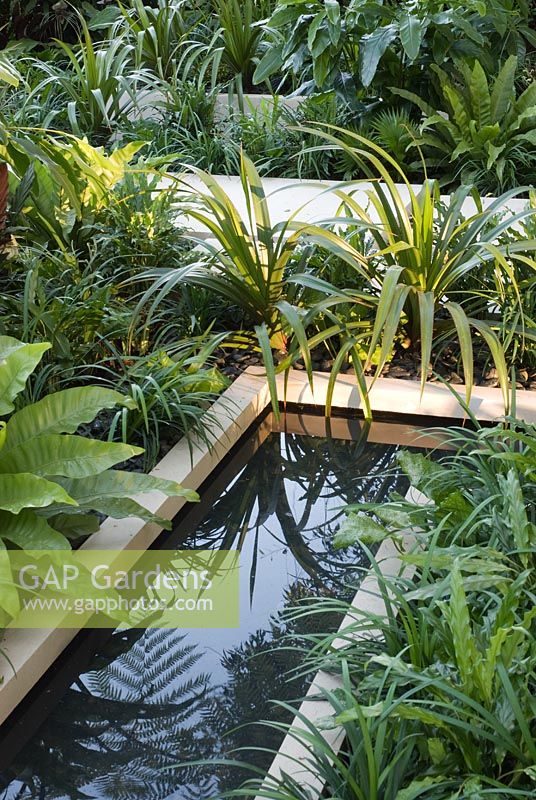 Plantation de plantes vertes exotiques autour de bassins d'eau - The Tourism Malaysia Garden, médaillé d'or, RHS Chelsea Flower Show 2010