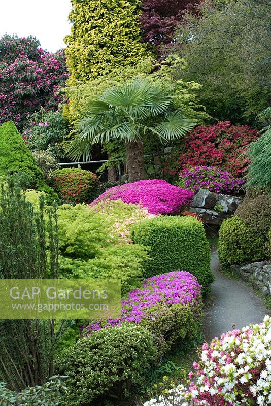 Rock Garden à Leonardslee Gardens, Sussex, printemps