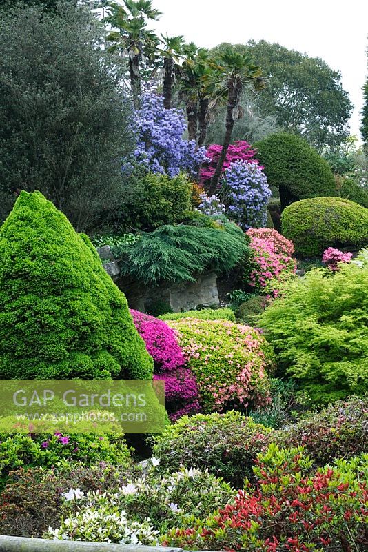 Rock Garden à Leonardslee Gardens, Sussex, printemps