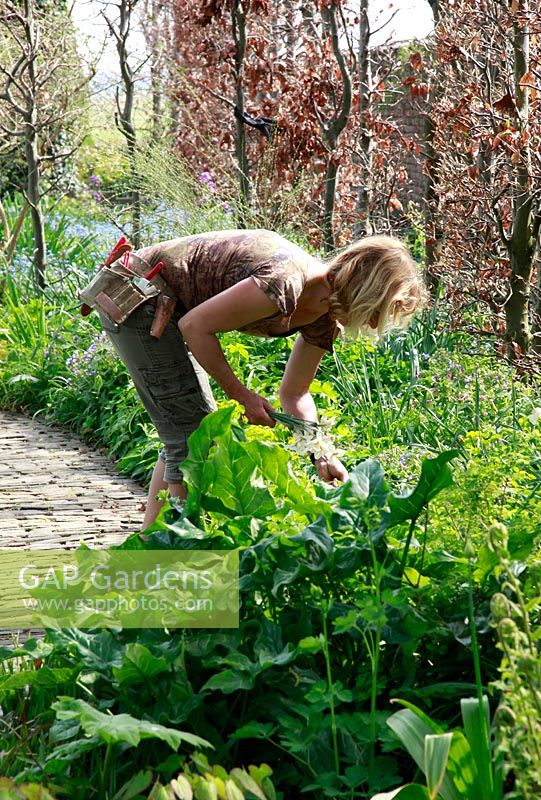 Propriétaire de Geke Rook, Spring garden with special bulbs planting - Jankslooster, Holland