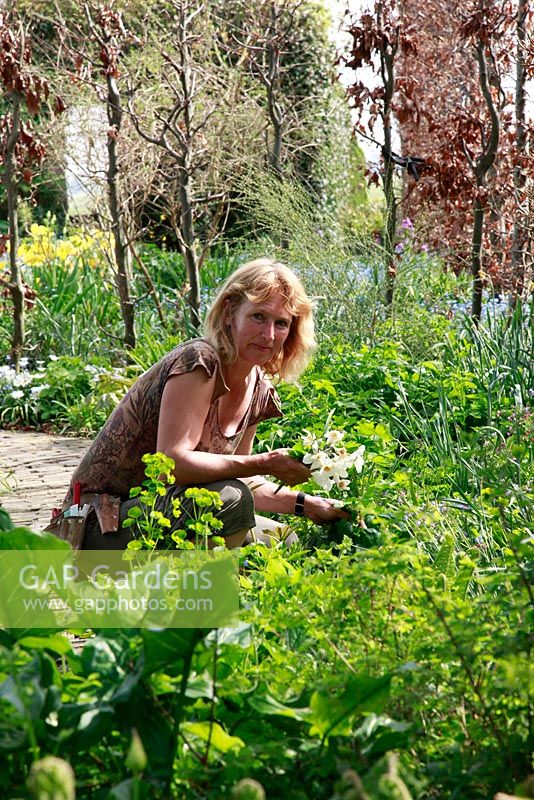 Geke Rook, propriétaire du Dutch Spring garden avec plantation de bulbes spéciaux - Jankslooster, Hollande