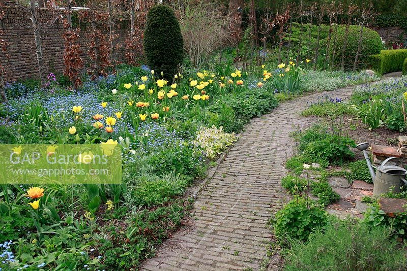 Jardin de printemps hollandais avec plantation d'ampoules spéciales. Tulipa 'Lune de Pâques', Tulipa 'Flashback', Tulipa 'Ivory Floradale' et Tulipa 'Monte Beau' avec Myosotis