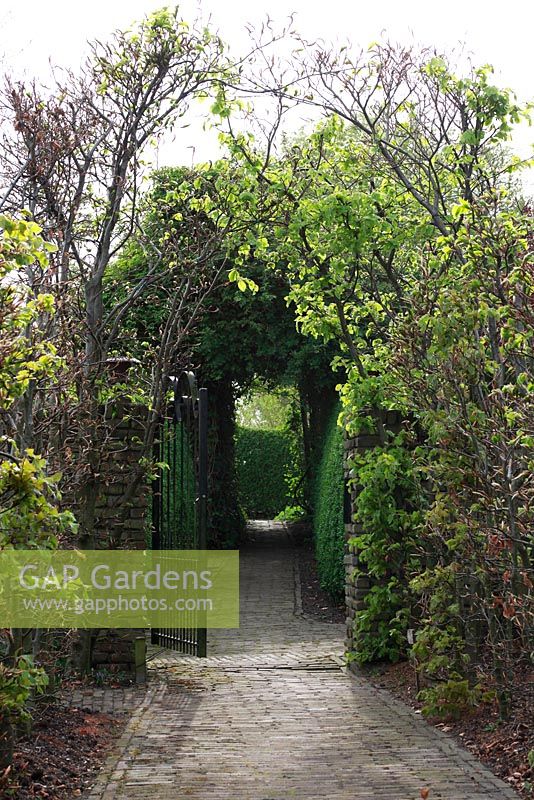 Entrée du jardin de printemps avec plantation de bulbes spéciaux - Jankslooster, Geke Rook, Hollande
