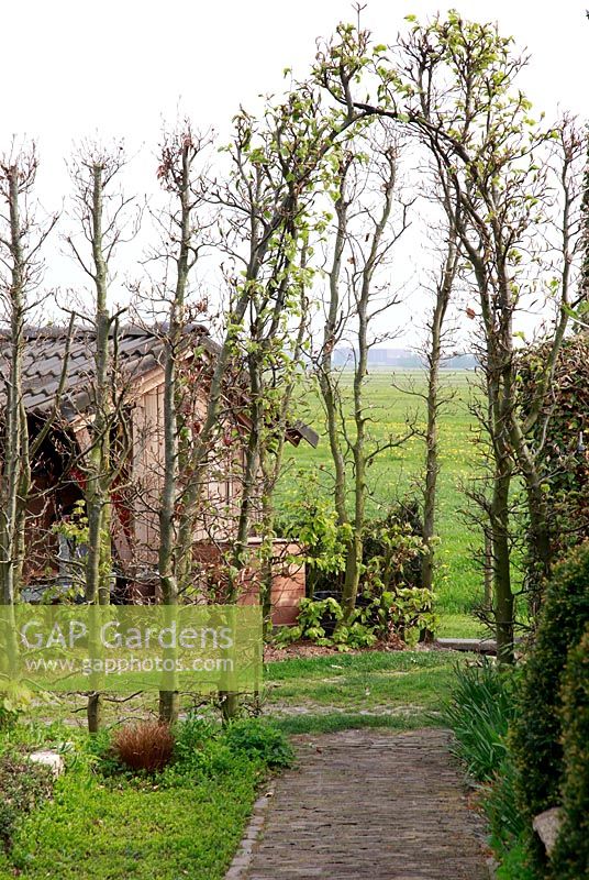 Vue sur la campagne à travers l'arche. Jardin de printemps avec plantation de bulbes spéciaux - Jankslooster, Geke Rook, Hollande