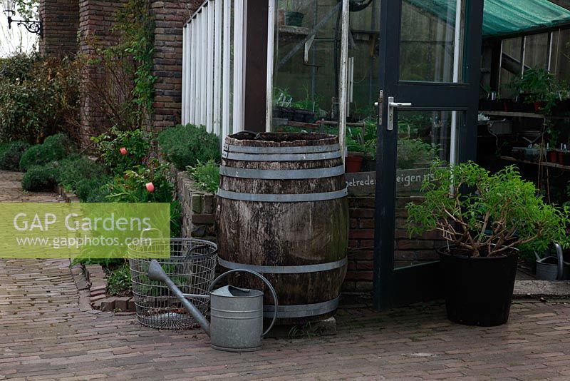 Butée d'eau sur le patio en brique à côté de la maison. Jardin de printemps avec plantation de bulbes spéciaux - Jankslooster, Geke Rook, Hollande