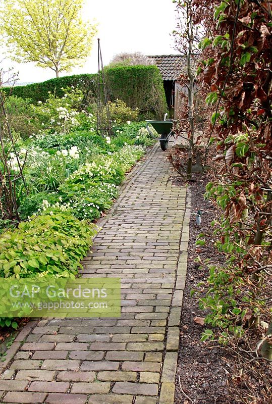 Chemin de briques avec des parterres à thème blanc, jardin de printemps avec plantation de bulbes spéciaux - Jankslooster, Geke Rook, Hollande