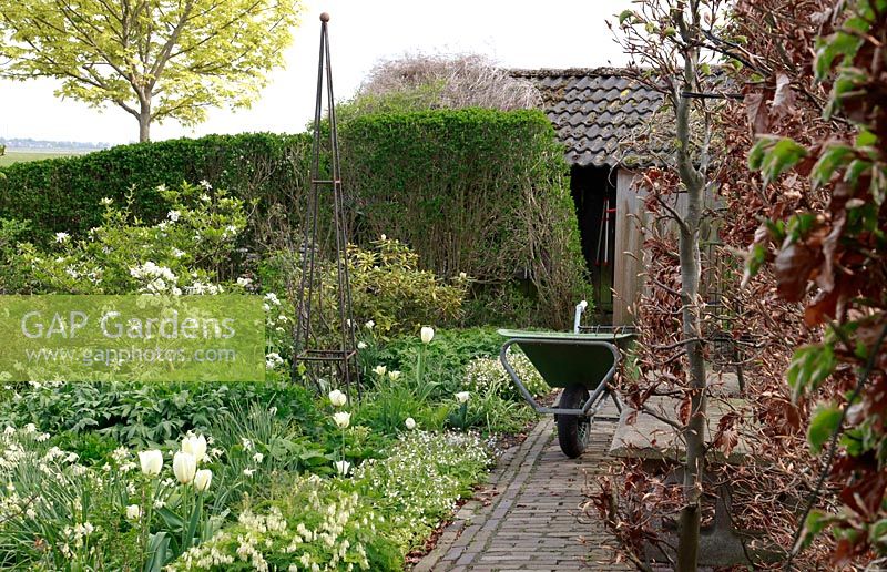 Chemin de brique avec brouette et parterres à thème blanc, jardin de printemps avec plantation de bulbes spéciaux - Jankslooster, Geke Rook, Hollande