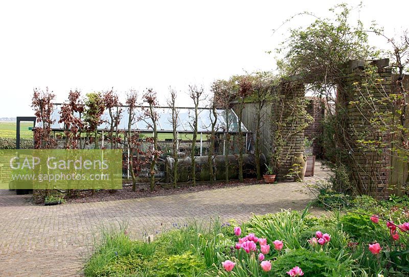 Entrée de la terrasse. Jardin de printemps avec la plantation de bulbes spéciaux - Jankslooster, Geke Rook, Hollande