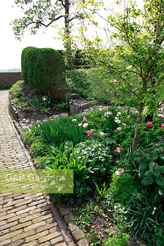 Jardin de printemps avec la plantation de bulbes spéciaux - Jankslooster, Geke Rook, Hollande