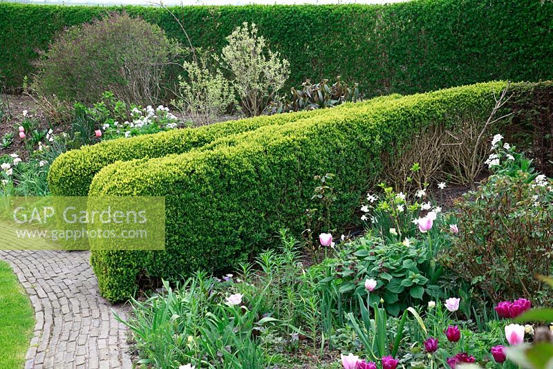 Jardin de printemps avec plantation de bulbes spéciaux - Jankslooster, Geke Rook, Hollande