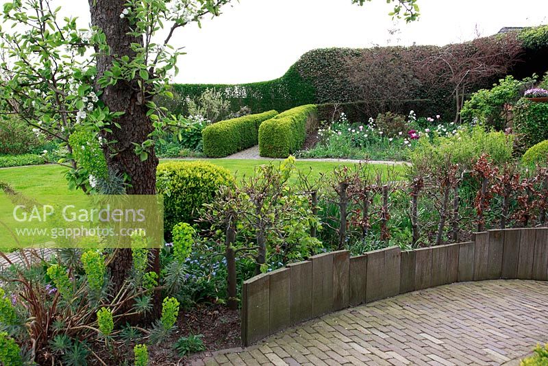 Chemin de brique dans le jardin de printemps avec plantation de bulbes spéciaux - Jankslooster, Geke Rook, Hollande