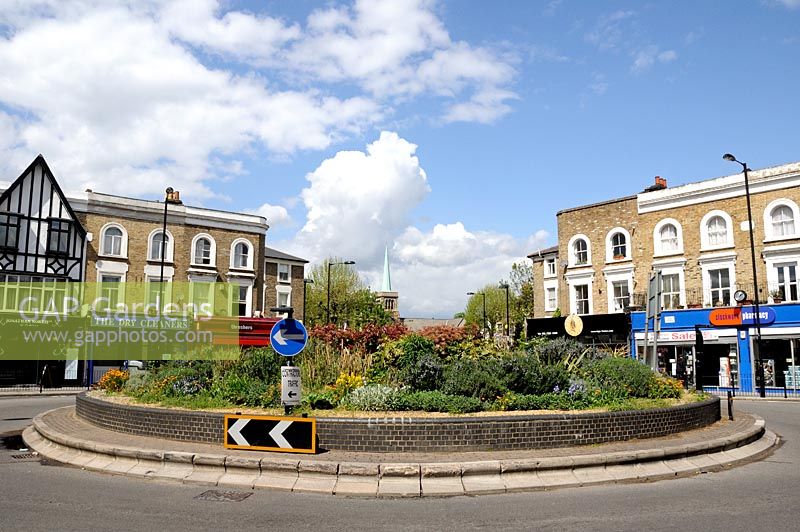 Rond-point à Hackney planté d'arbustes et de fleurs, Londres