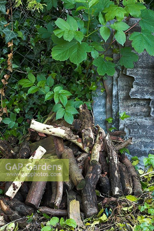 Pile de bûches - refuge utile pour la faune comme les invertébrés, les crapauds et les grenouilles