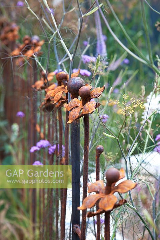 Daisy surmonté d'une clôture de jardin rouillée avec Verbena bonariensis - 'The Firepit Garden', médaillée d'argent au RHS Hampton Court Flower Show 2010