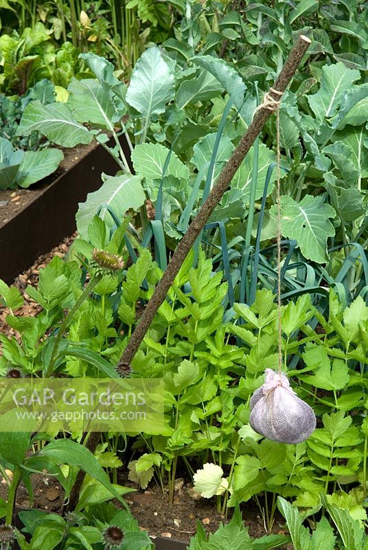 Sac en filet contenant des cheveux humains suspendus dans un potager, l'odeur censée éloigner les parasites. «Lotissement de Shakespeare» - Médaillé de bronze - RHS Hampton Court Flower Show 2010