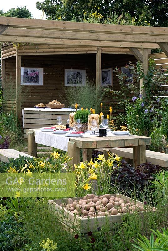 Salle à manger extérieure avec pot plein de pommes de terre récoltées et Hemerocallis jaunes - 'Tyrells Harvest Celebration', médaillé d'argent doré au RHS Hampton Court Flower Show 2010
