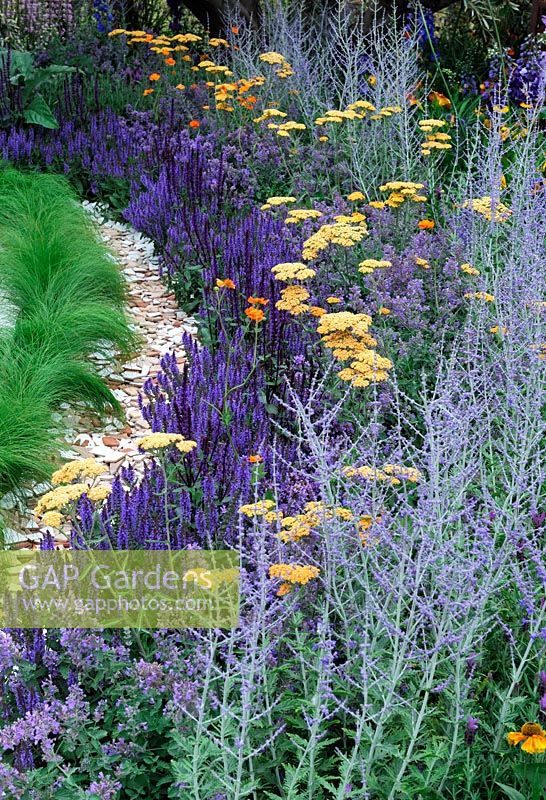 Salvia, Achillea et Perovskia. 'An Uprising of Kindness', médaillé d'argent, RHS Hampton Court Flower Show 2010