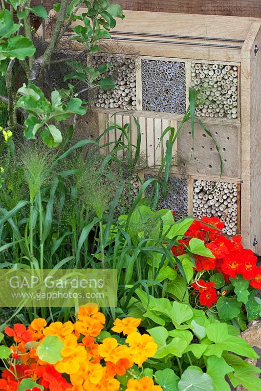 Boîtes à insectes de divers matériaux dans le jardin 'Home Grown' au RHS Hampton Court Flower Show 2010