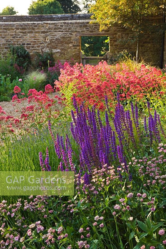 Parterres d'été de plantes vivaces et Centranthus ruber dans jardin de gravier. Rickyard Barn Garden, Northamptonshire