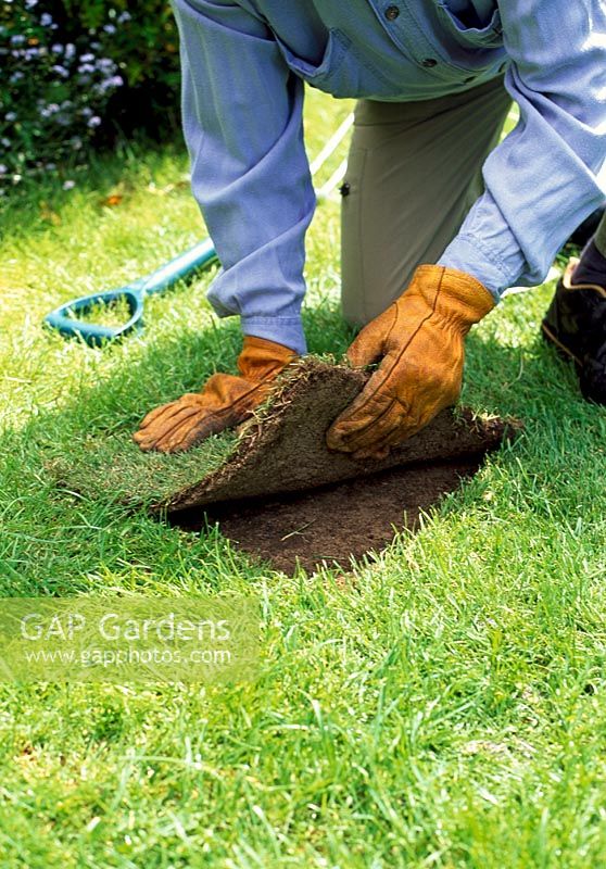 Coupez une parcelle de gazon pour correspondre à la taille et la forme du trou dans la pelouse et posez le gazon. Fermez-le en place et votre pelouse est comme neuve