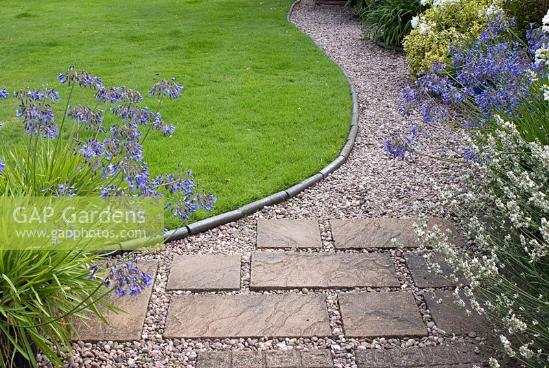 Agapanthe et Lavandula, à côté du chemin de gravier et de dalle. Pelouse bordée de moules en pierre bleu ardoise. Saxon Road, Lancashire. Le jardin est ouvert pour le National Garden Scheme