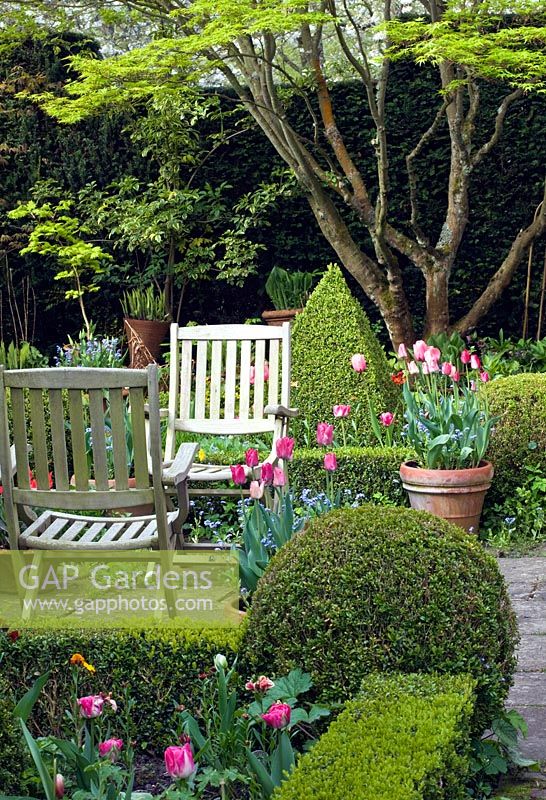 Couverture en forme de boîte, chaises en bois, pots de tulipes roses et oubliez-moi - Manor Farm Holywell, Warwickshire