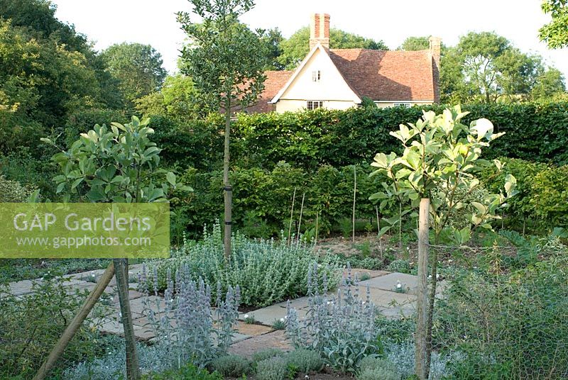 Jardin commémoratif à alsacien très aimé. Un jardin 'blanc' avec Sorbus aria et un Ilex panaché - Heveningham, Suffolk