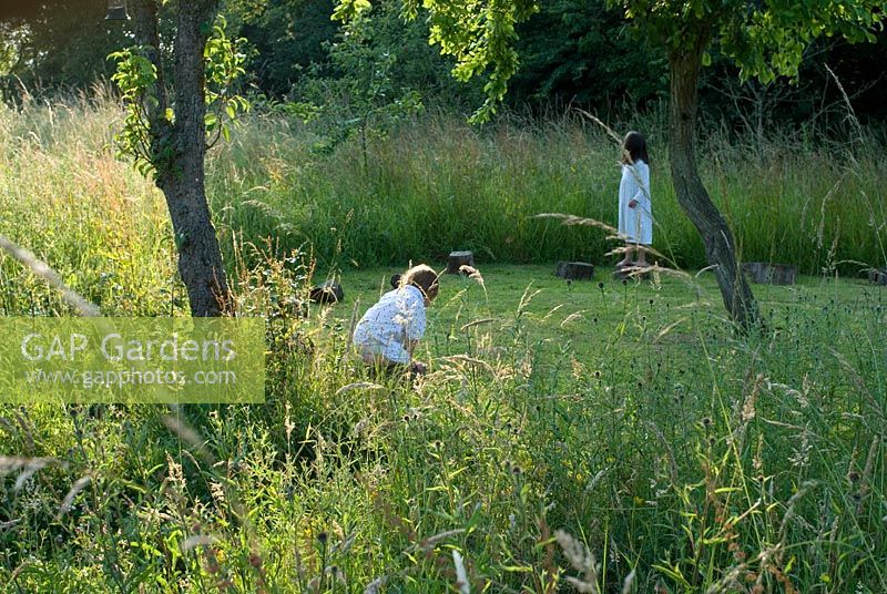 'Crop circle' fauché avec des bûches pour que les enfants puissent s'asseoir et marcher. Herbe longue entourant les arbres fruitiers dans le verger dans la lumière du soir - Heveningham, Suffolk