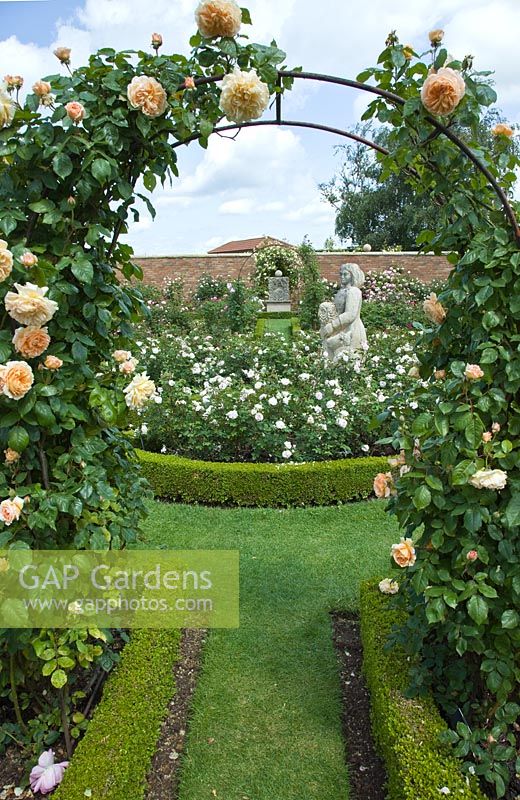Arc avec Rosa 'Crown Princess Margareta' menant au jardin de la Renaissance avec des parterres de roses avec Buxus - Boîte haie et statue. David Austin Roses Albrighton, Staffordshire.