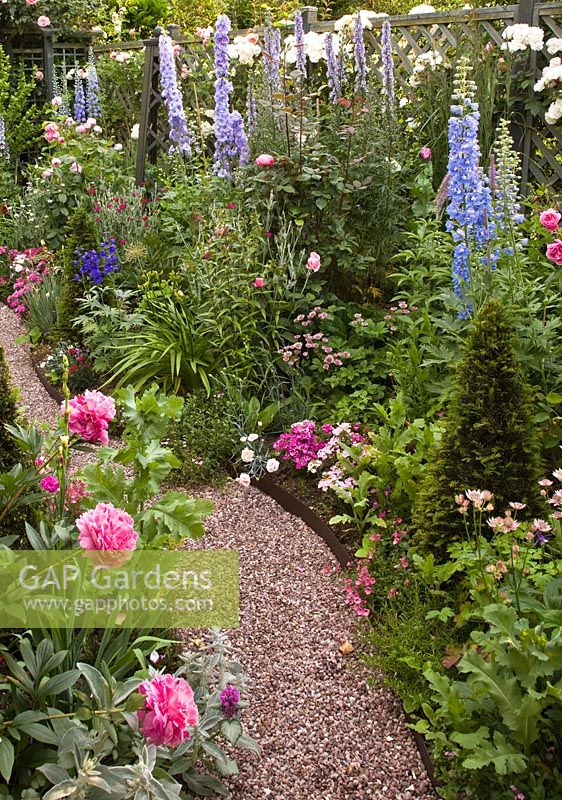 Chemin de gravier, parterres de Delphiniums, Rosa 'Prosperity' et pivoine dans un jardin de banlieue assez isolé - High Trees, Longton, Stoke-on-Trent, Staffordshire, NGS