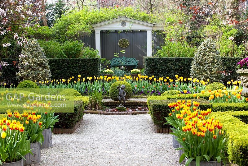 Jardin à la française avec parterres de Tulipa 'Washington', Tulipa 'Juliette' et Tulipa 'Washington'