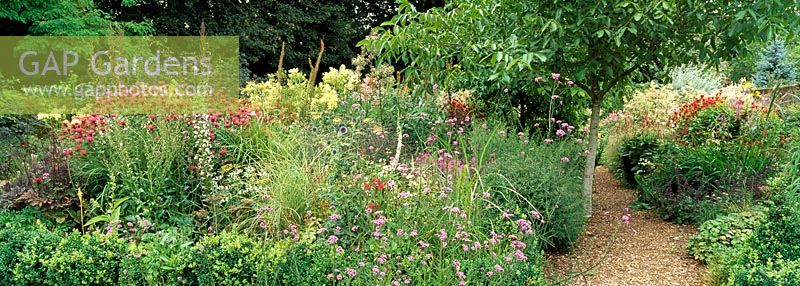Vivaces à la fin de l'été et jardin d'herbes vivaces à la Coach House, Hampshire