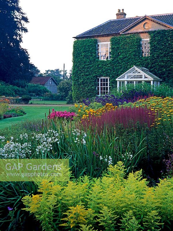 Dell Garden - Bressingham Hall contenant la plantation d'Agapanthus 'Bressingham White', Solidago, Heleniums - Bressingham Gardens, Norfolk, UK