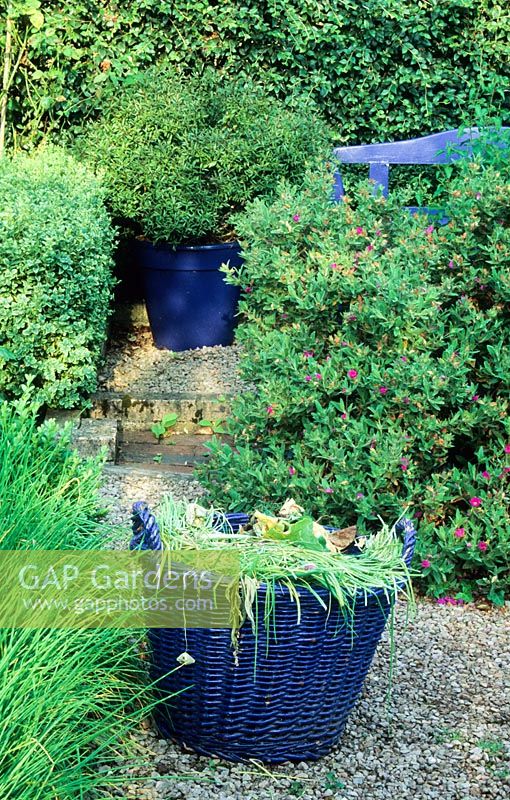 Panier de désherbage en osier peint en bleu et jardinière et siège peints en bleu - Veddw House Garden, Monmouthshire, Wales