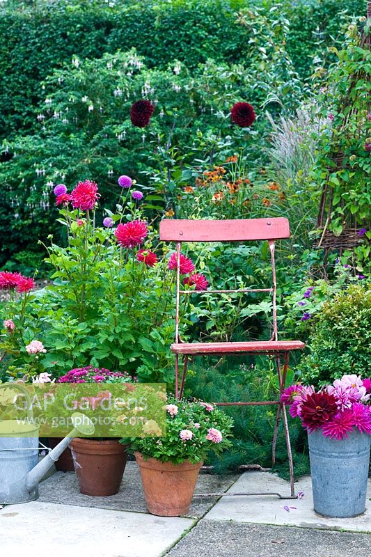Chaise rouge avec pots de chysanthèmes et géraniums