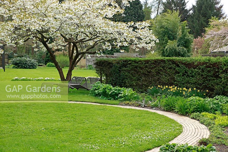 Jardin de printemps avec pelouse ronde. Transats sous arbre en fleur