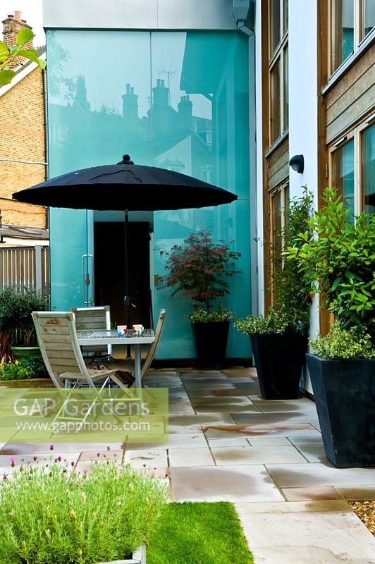 Patio à côté du mur de verre de la maison urbaine. Pots avec Lavandula - Lavendul et Acer arbre. Muswell Hill, Londres