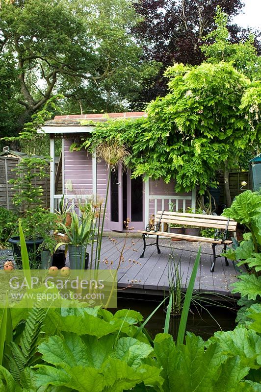Petit jardin urbain avec terrasse en bois à côté de la maison d'été rose avec des glycines. Étang avec Gunnera qui grandit autour d'elle. Agave en pot.