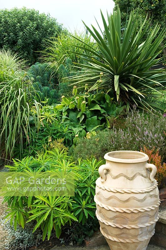 Parterre de graminées, Euphorbia mellifera, Phlomis et Yucca avec urne en terre cuite ornée. Parsons Cottage, Essex, Royaume-Uni