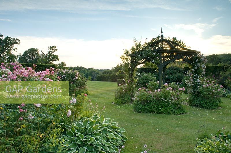 Gazebo avec grimpeurs et parterres de Hosta et Rosa - Roses dans le jardin de campagne. Jardin Robinson, Ousden House, Suffolk