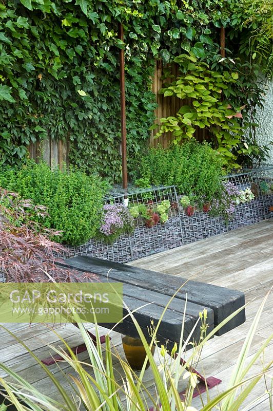 Petit jardin urbain avec banc en bois, terrasse en bois, parterre de fleurs surélevé et mur de gabions de soutènement - Highgate, Londres
