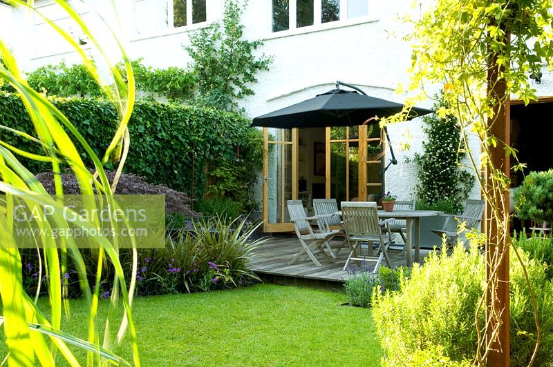 Petit jardin urbain avec terrasse en bois et coin salon, Passiflora et Rosmarinus - Highgate, Londres