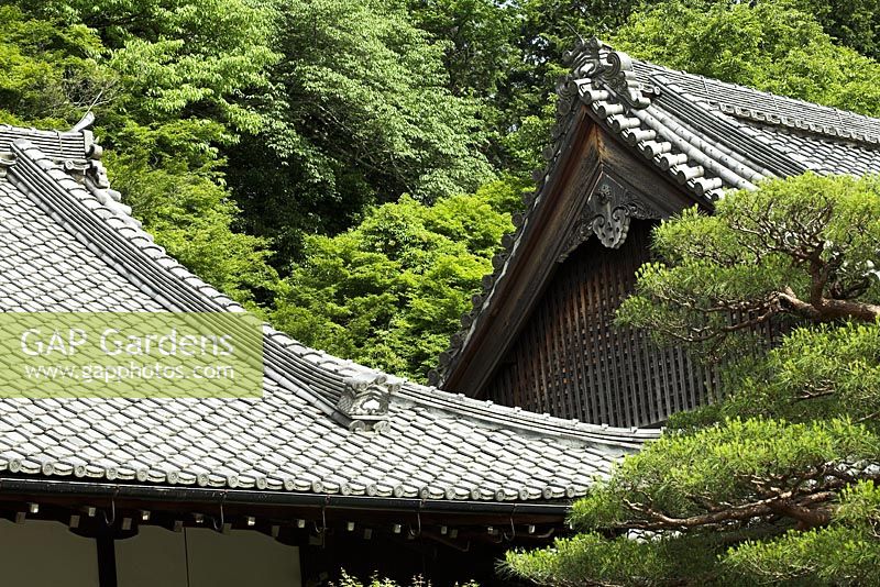 Pins et toits de temple dans le jardin du tigre bondissant, conçu par Kobori Enshu - Nanzen-ji, Kyoto, Japon