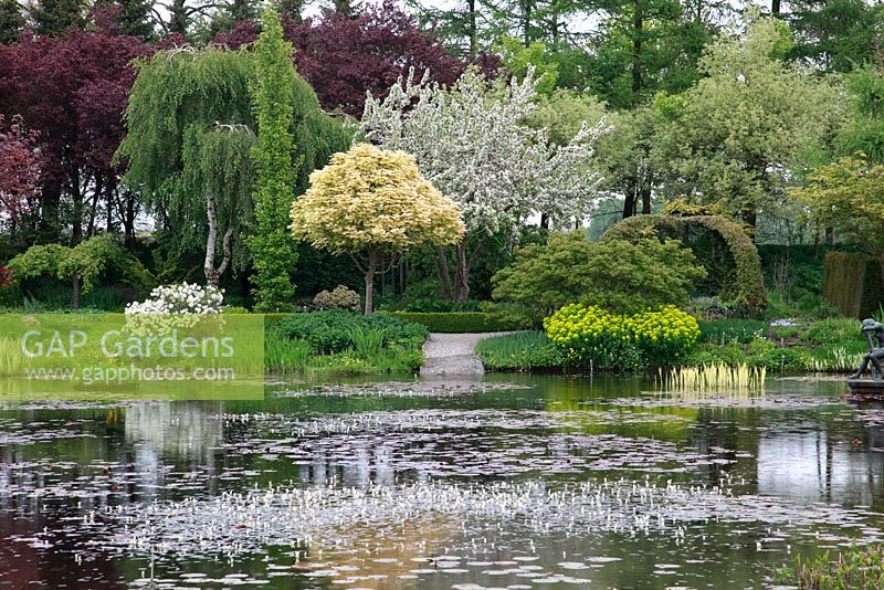 Un jardin botanique aquatique avec 3 grands étangs naturels et une cinquantaine d'étangs artificiels