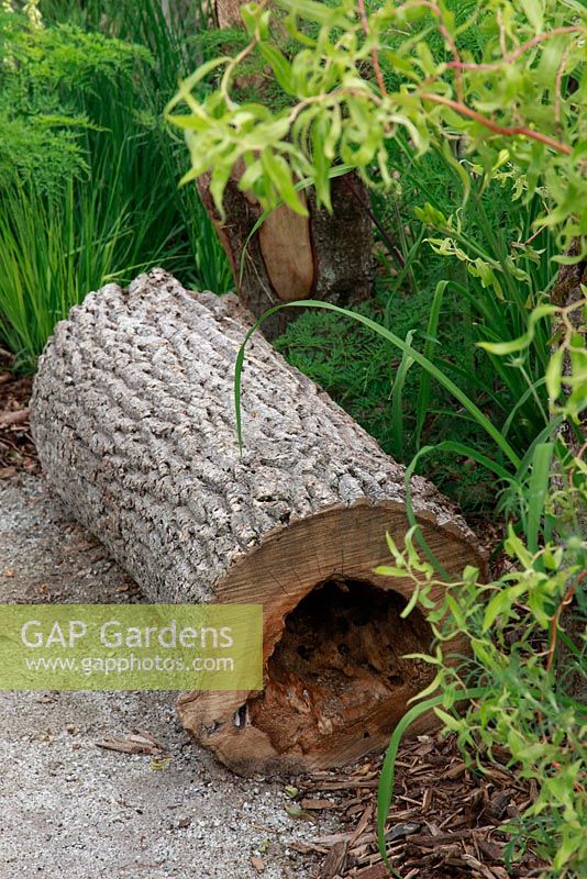 Communiqué de jardin avec bûche creuse - The Future Gardens, St Albans, Herts
