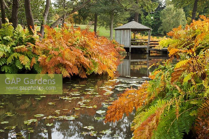 Le jardin Savill, Windsor Great Park