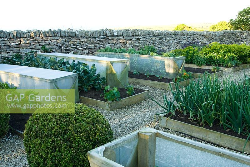 Potager formel avec boîte clippée et cadres brise-vent pour protéger les plantes du vent dominant - Coastal Garden, Devon