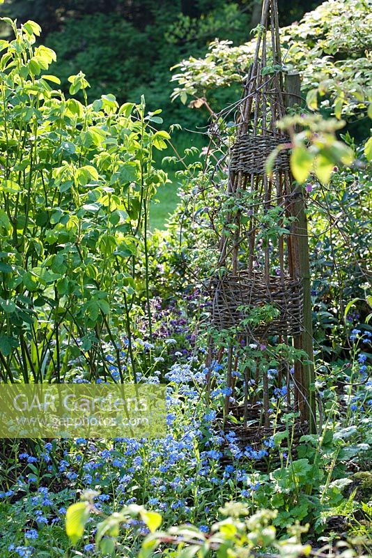 Canne wigwam en parterre de fleurs. Jardin des canards colverts, mai