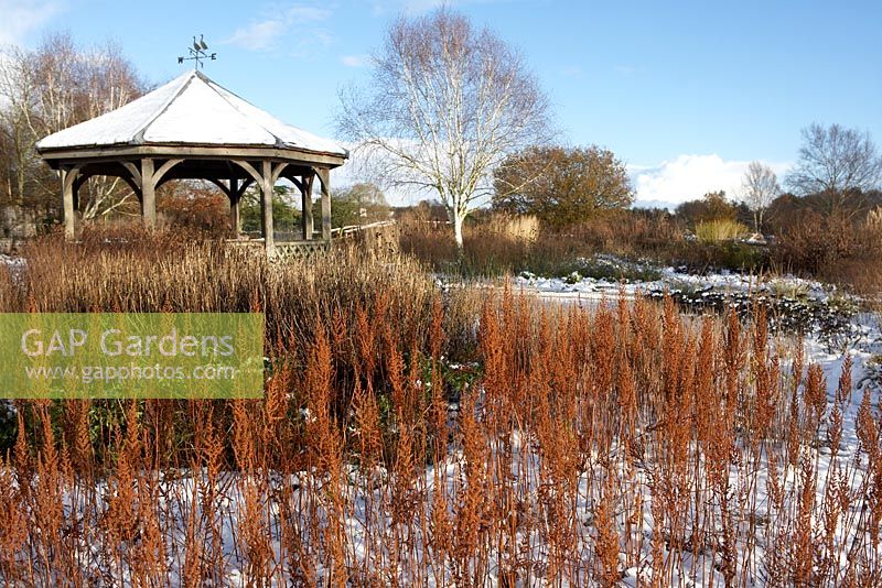 'The Millenium Garden 'de Piet Oudolf à Pensthorpe en hiver avec des têtes de série Astilbe