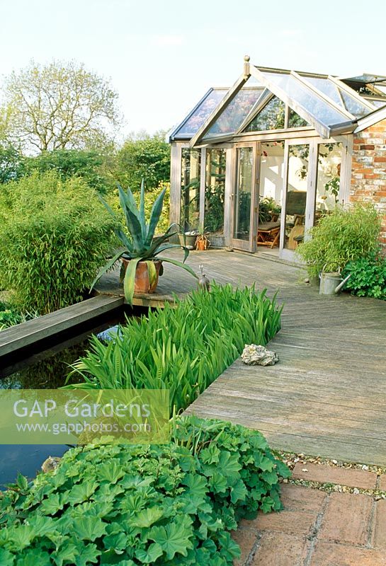 Terrasse en bois et brique, étang et véranda. Agave en pot. Fin du printemps, Fovant Hut Garden, Wilts